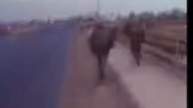 Battlefield Vietnam Part 06 The Tet Offensive смотреть онлайн