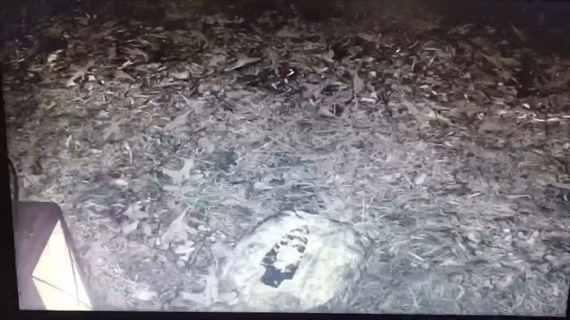 Walden, a game - Group 10 смотреть онлайн