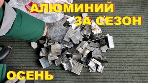 Алюминий за сезон. Осень.