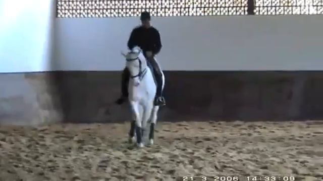 bailador смотреть онлайн