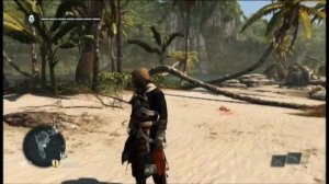 Assassin's Creed 4. Поиск сокровищ. Координаты 327,334 Бухта Кайман