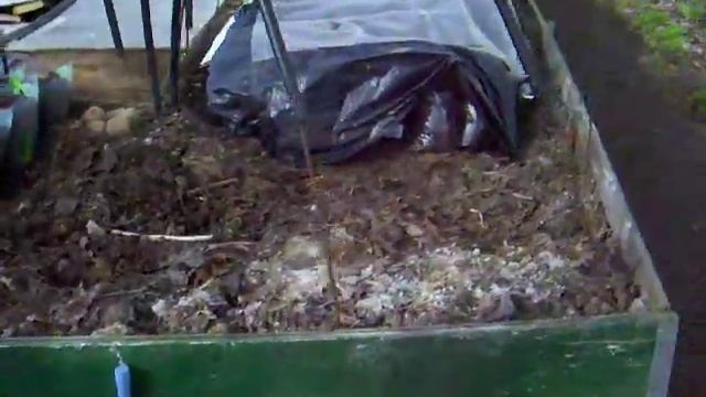 Картофель ранняя посадка рассады 1часть..Garden.Советы огородникам. смотреть онлайн