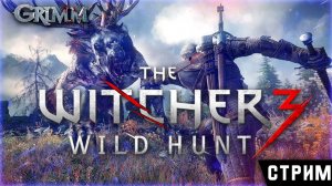 The Witcher 3 Wild Hunt - Ведьмак 3 : Дикая охота - Балдежное прохождение на стриме - Часть 1