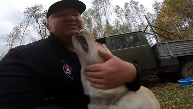 УАЗ ПАТРИОТ СОБИРАЕМ КЛЮКВУ смотреть онлайн