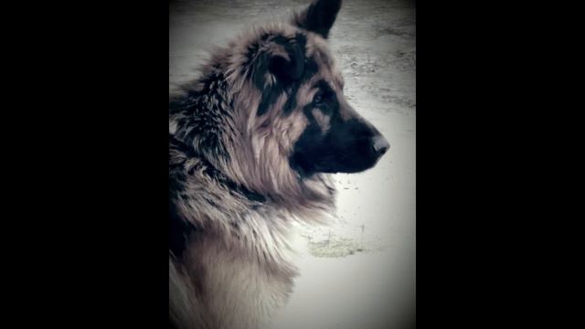 Четкий музон #20 смотреть онлайн