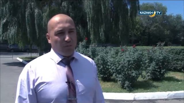 Single Market и ГК Алина