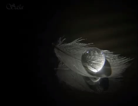 Sting ft Mariza - Thousand years_x264 смотреть онлайн