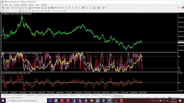 Обзор EUR/USD, GBP/USD, AUD/USD, Gold на 25.05.2022 смотреть онлайн