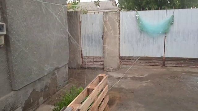 Сети для разнобоя)) #ячея50 #сетинакарася смотреть онлайн