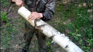 Заготовка сколотня и бересты.