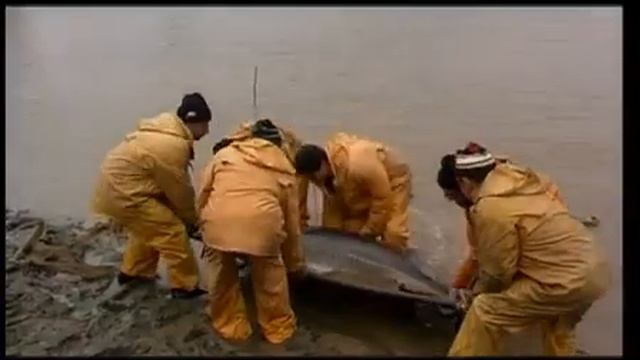 Рыболовный словарь смотреть онлайн