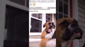 .trashed-1676971655-InShot_20230121_211624395