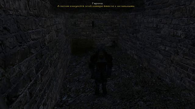 Готика2.Мод Гильдии1.5.Часть378.Сложности в замке.Гаронд в темнице.Совет Уршака.Сделка с Хаг-Таром. смотреть онлайн