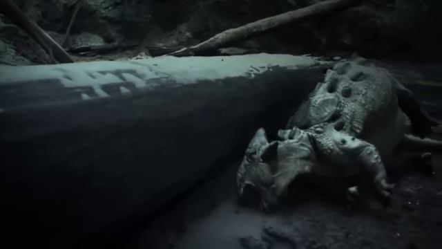 Bloop Vs Dunkleosteus | क्या होगा जब भिड़ेंगे Megalodon Shark से भी खतरनाक Sea Monster смотреть онлайн