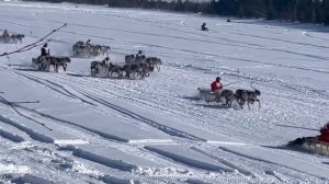 День оленевода! #таркосале #деньоленевода #праздник