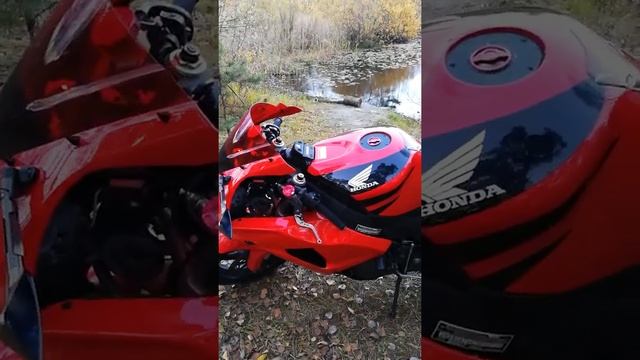 Honda CBR 1000RR 2006 FIREBLADE