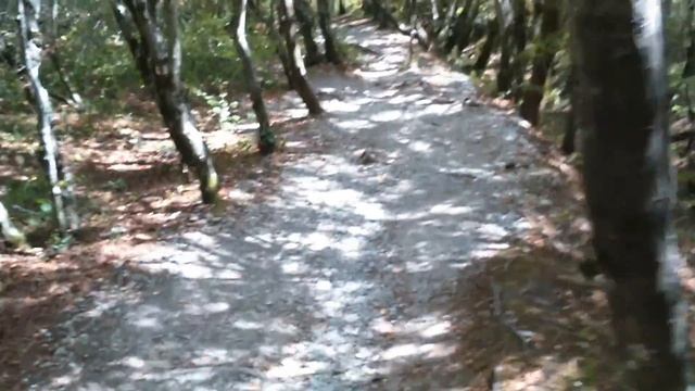 Дальмен НЕЖНОСТЬ. "О девочки" смотреть онлайн