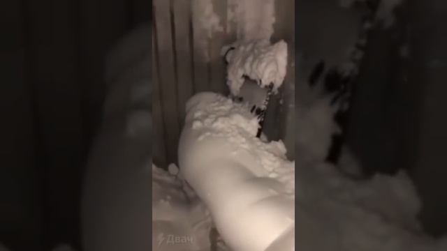 Криптоферма в снегу смотреть онлайн