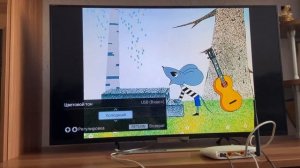 Настройка параметров изображения на телевизоре Sony Bravia KDL-42W655A.