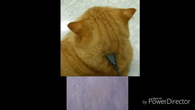что ты ему сделаешь смотреть онлайн