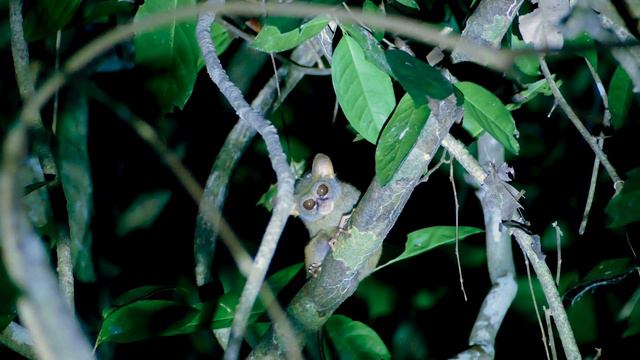 Тогеанские острова. В поисках рая / Togean Islands, Sulawesi, Indonesia (EN, FR, LV Subtitles)
