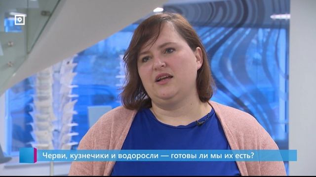Черви, кузнечики и водоросли — готовы ли мы их есть? смотреть онлайн