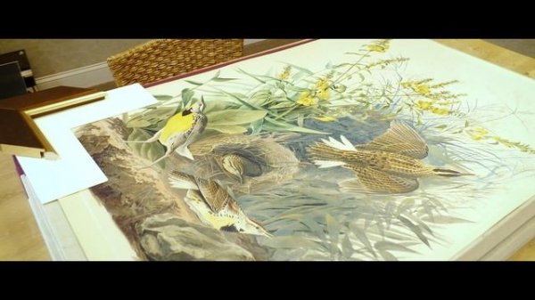 Gregory James Gallery - Fine Art & the Art of Framing is Open!