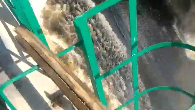 Нижне - Бурейская ГЭС 31 августа смотреть онлайн