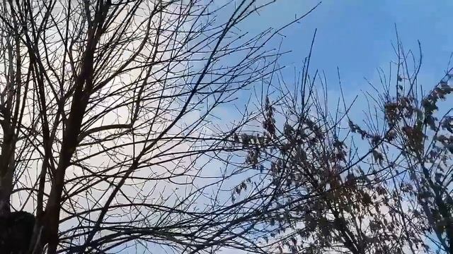 ВЛОГ ? Гуляю❄️, Вяжу?, Готовлю?