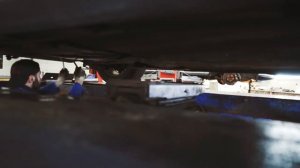 Развал схождение Ford Focus