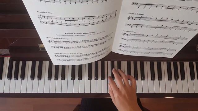 Kromatik Gam 1 oktav -do'dan başlayarak/Chromatic Scale 1 octave, beginning on C смотреть онлайн