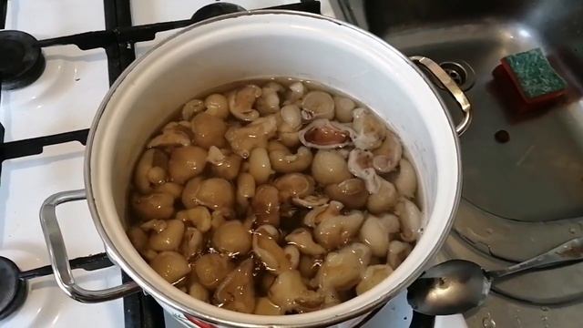 Мастерская уборочных навыков