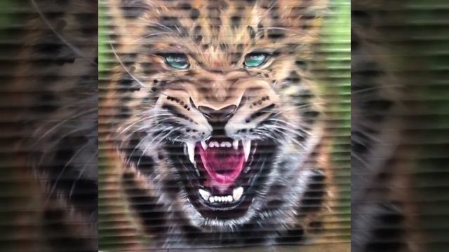 Graffiti Mural Spg Crew ГРАФФИТИ