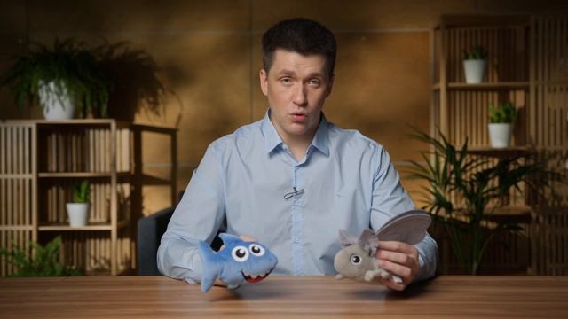 Система быстрых платежей (СБП) - плюсы и минусы для бизнеса смотреть онлайн