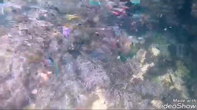 На дне Чёрного моря смотреть онлайн