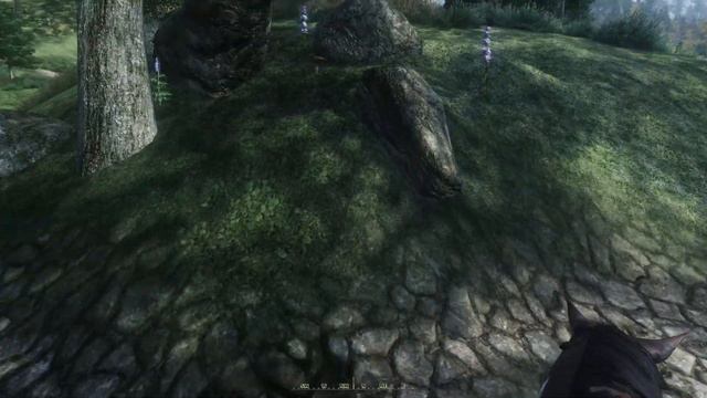 Let's Play Oblivion (#13) - Strawberry Jam смотреть онлайн
