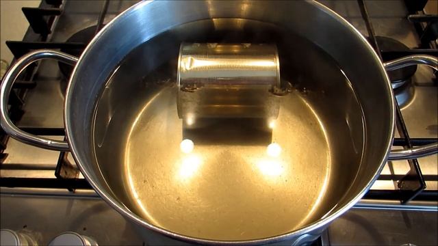 Домашние Животные и Их Уход