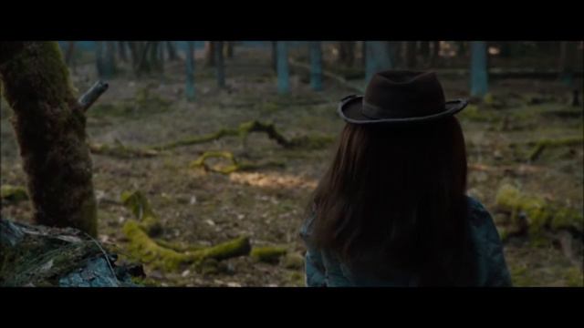 Сказки Чёрного Города - Лесная Царевна смотреть онлайн