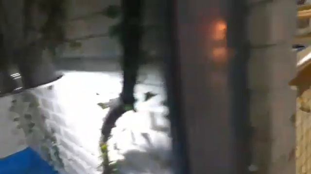 Зоопарк дар Ашан смотреть онлайн