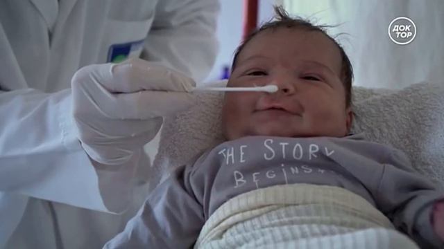 Наши 5 чувств Our 5 Senses обоняние The secret of our sense of smell 2017 начало смотреть онлайн