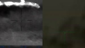 Охота с тепловизором и ночным прицелом на волка и шакала.