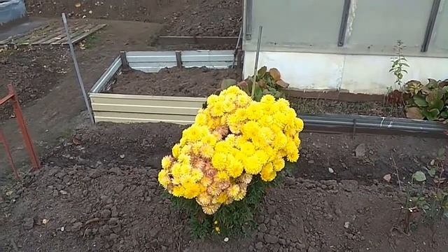 Осенний листопад! смотреть онлайн