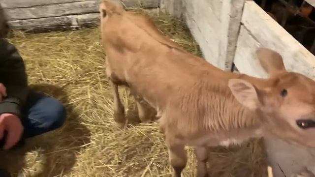 Авантюра провалилась! А поездка удалась! смотреть онлайн