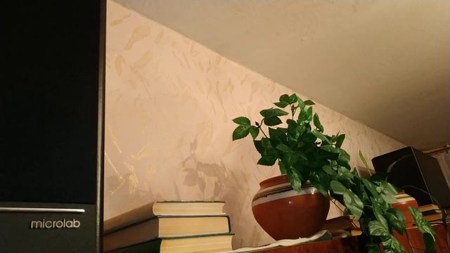 Проверяю переходник с тюльпанов на джек на колонках смотреть онлайн