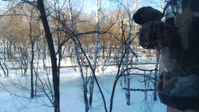 Кормушка онлайн смотреть онлайн