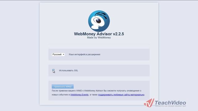 WebMoney Advisor