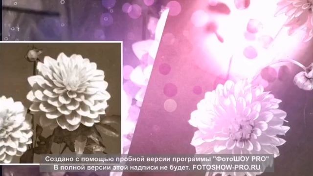 Когда мы были молодыми..