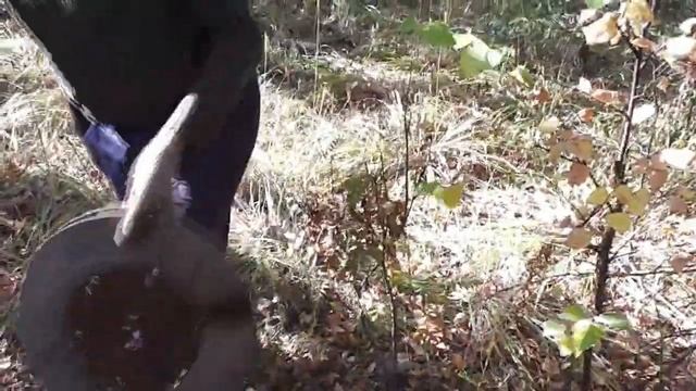 Опять прекрасная погода, опять неплохой металлокоп. смотреть онлайн