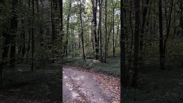 Расслабление