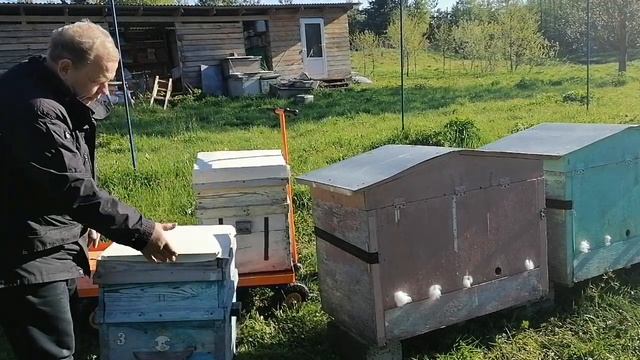 Улей Дадан отзыв - Часть 3. Продолжаю ругаться. смотреть онлайн